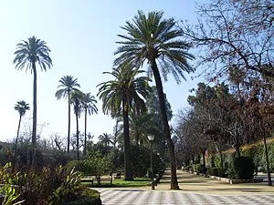 Paseo de Catalina de Ribera y Jardines de Murillo