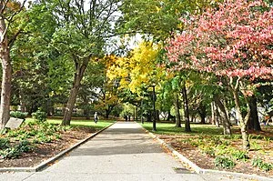 Denny Park