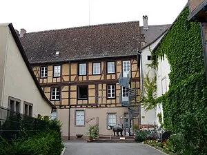 Musée d'histoire naturelle et d'ethnographie de Colmar